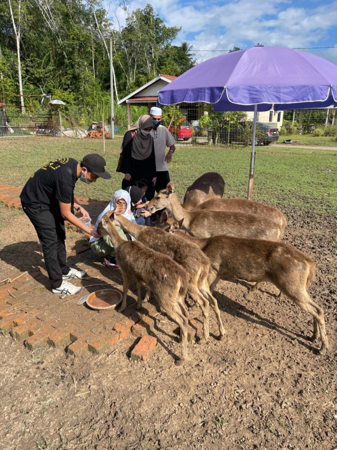 Отель Branda Kampung Sumpitan Lenggong Tiada Sungai Kampong Ulu Jepai Экстерьер фото