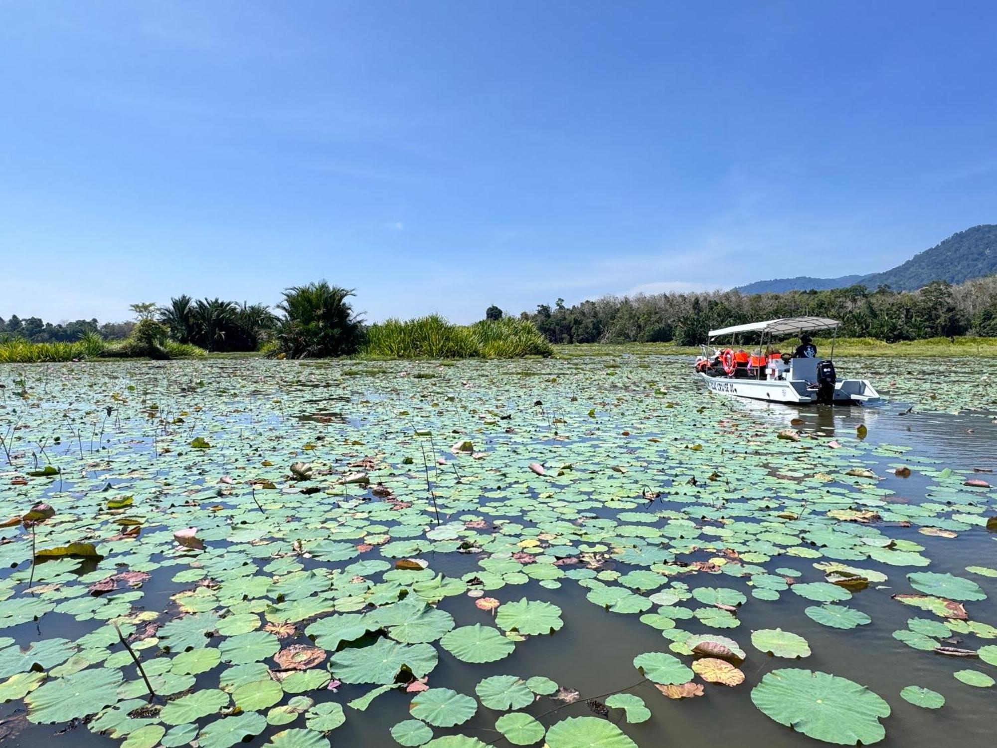 Отель Branda Kampung Sumpitan Lenggong Tiada Sungai Kampong Ulu Jepai Экстерьер фото