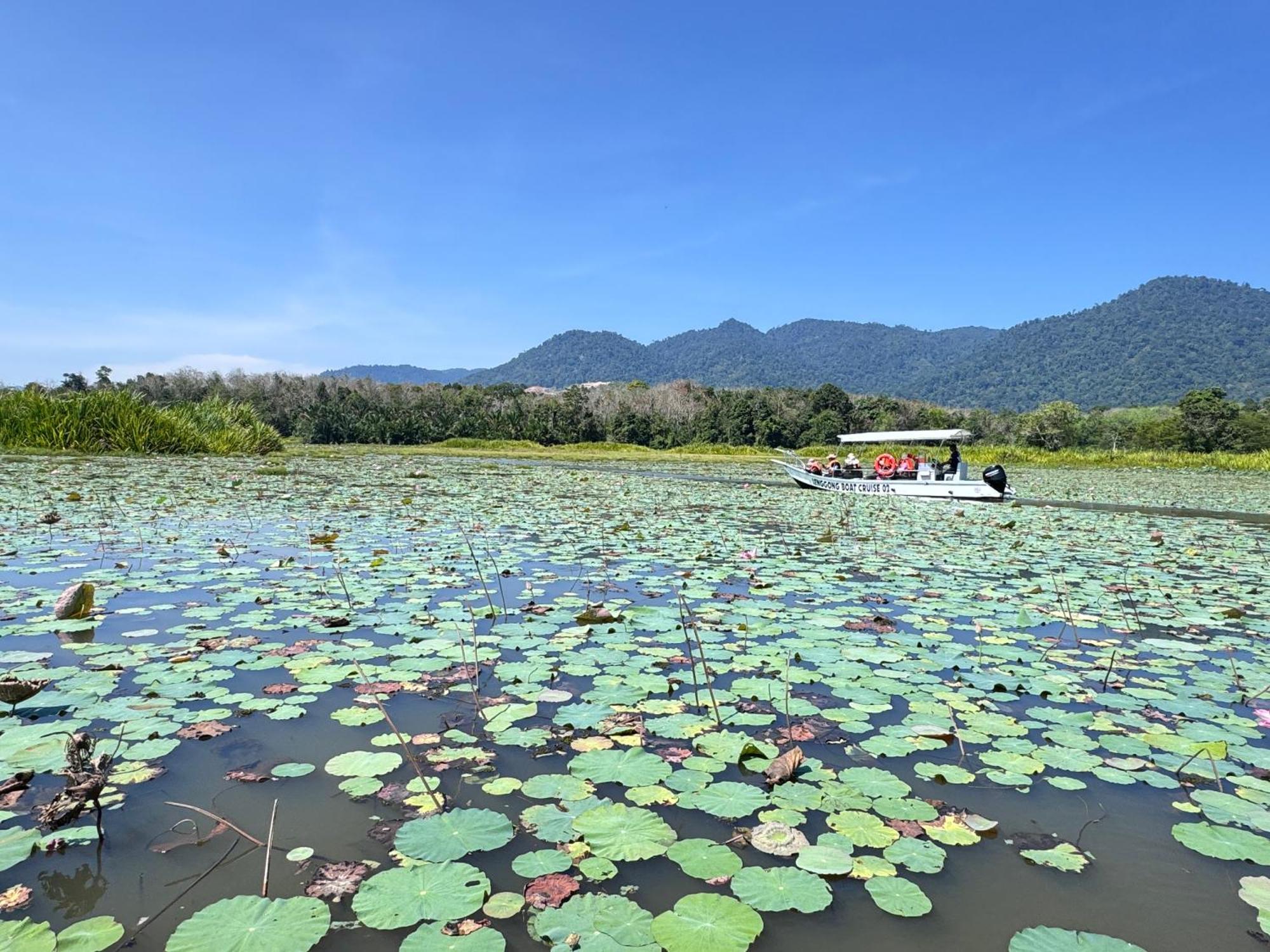 Отель Branda Kampung Sumpitan Lenggong Tiada Sungai Kampong Ulu Jepai Экстерьер фото
